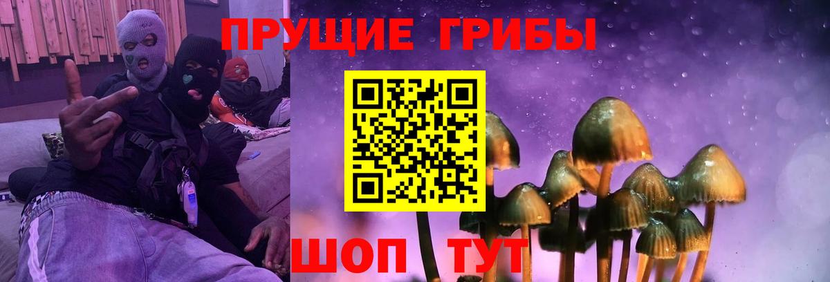 Галлюциногенные грибы мицелий  даркнет сайт  Астрахань  Вход с VPN 