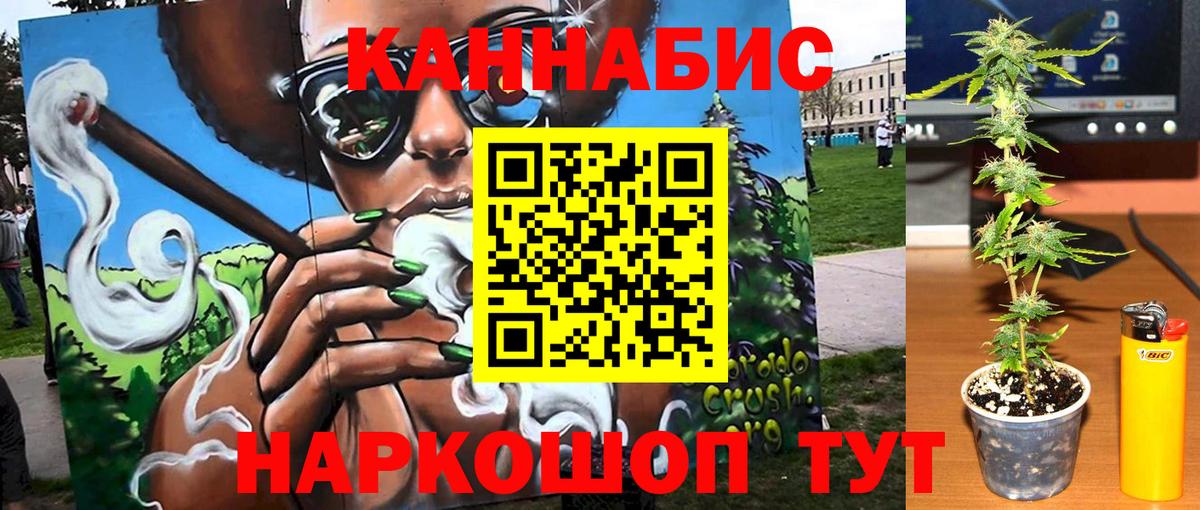 Шишки марихуана SATIVA & INDICA  МАРИХУАНА планчик  Вход с VPN  Бошки марихуана Amnesia  Астрахань 